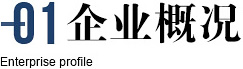 企業(yè)概況